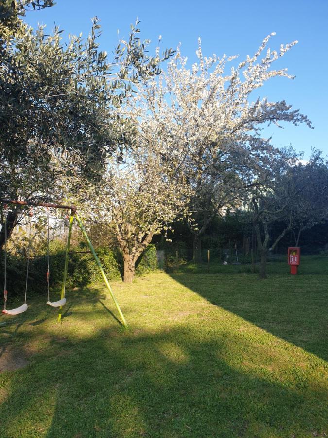 Alloggio Turistico Montefiascone Luaran gambar